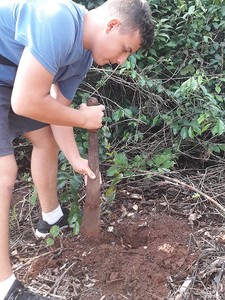 Mise en terre par Evan d'une essence de plant